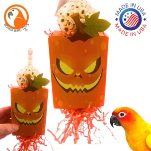 Bonka Bird Toys Halloween Ghoulish Treat Boxes Sola Atta Chew Shred Parrot Toy